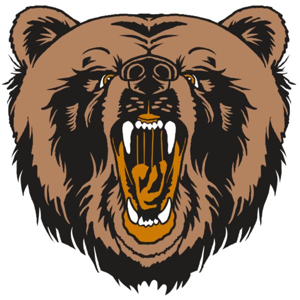 AR31 BEAR 01 RQC Miniaturansicht