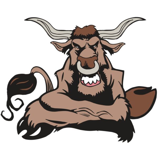 AR5 BULL 17 RQC Miniaturansicht