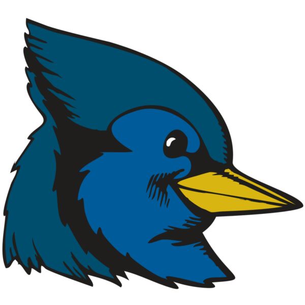 BAW BLUEJAY 07 RC Miniaturansicht