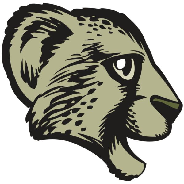 BAW CHEETAH 17 RC Miniaturansicht