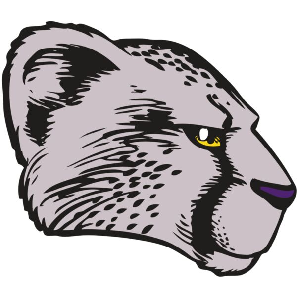 BAW CHEETAH 20 RC Miniaturansicht