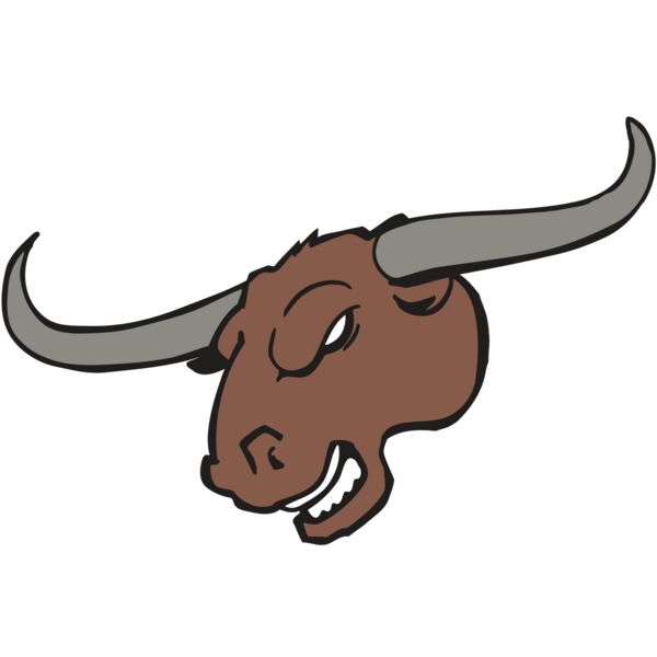 AR BULL 10 RC Miniaturansicht