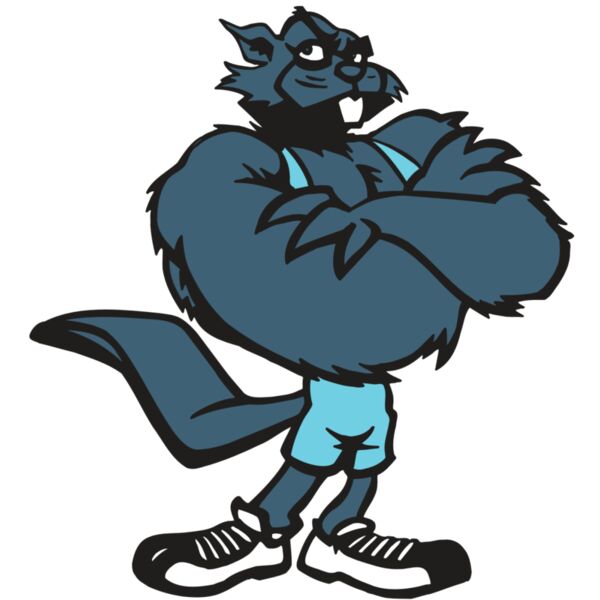 AR5 BEAVER 04 RQC Miniaturansicht