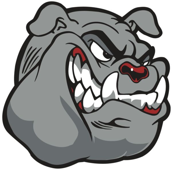 AR BDOG 13 RC Miniaturansicht