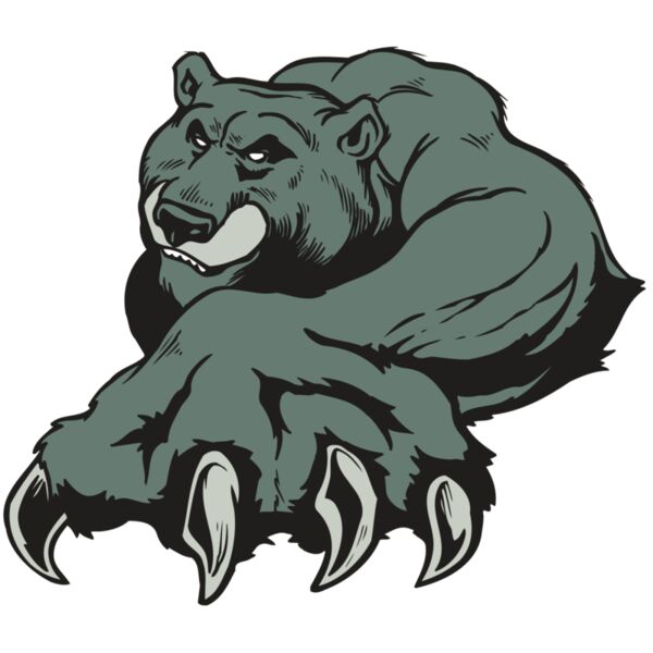 AR BEAR 26 RC Miniaturansicht