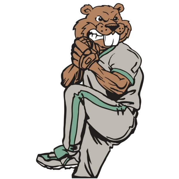 AR5 BASE BEAVER 01 RQC Miniaturansicht