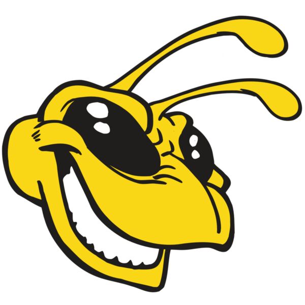 AR5 BEE 24 RQC Miniaturansicht