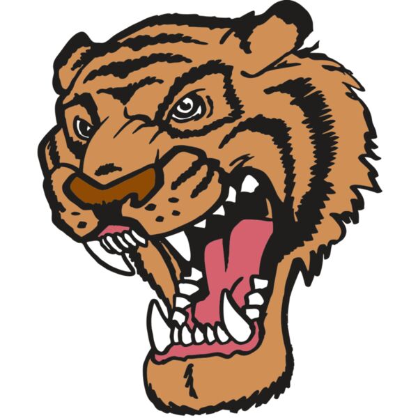 AR TIGER 12 RC Miniaturansicht