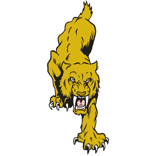 AR30 SABER 08 RQC Miniaturansicht