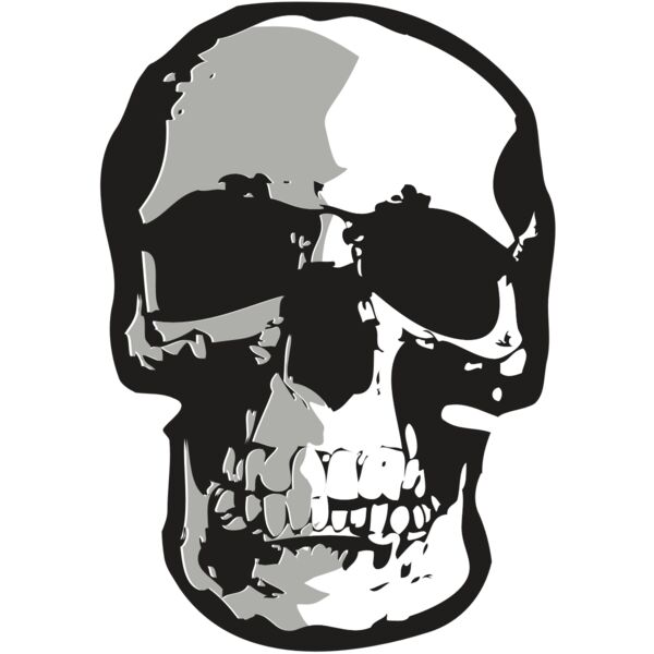 AR24 SKULL 01 RQC Miniaturansicht