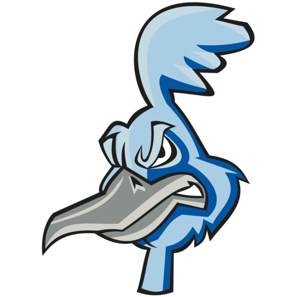 ROADRUNNER HD0501 RQC Miniaturansicht