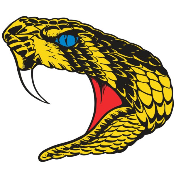 BAW SNAKE 06 RC Miniaturansicht