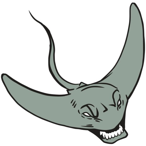 AR19 STINGRAY 05 RQC Miniaturansicht