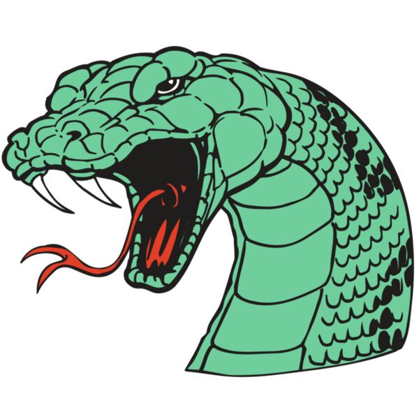 AR SNAKE 10 RC Miniaturansicht