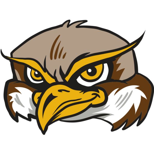 AR12 OWL 02 RQC Miniaturansicht