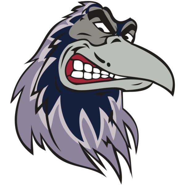 RAVEN HD0504 RQC Miniaturansicht