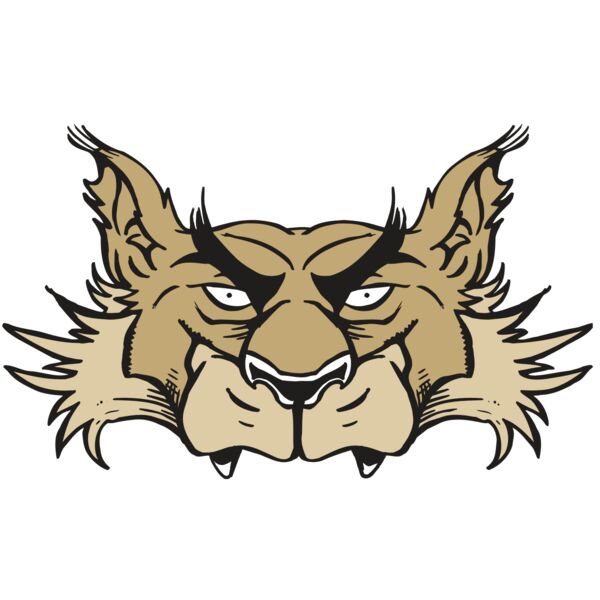 AR5 Wolf 28 RQC Miniaturansicht