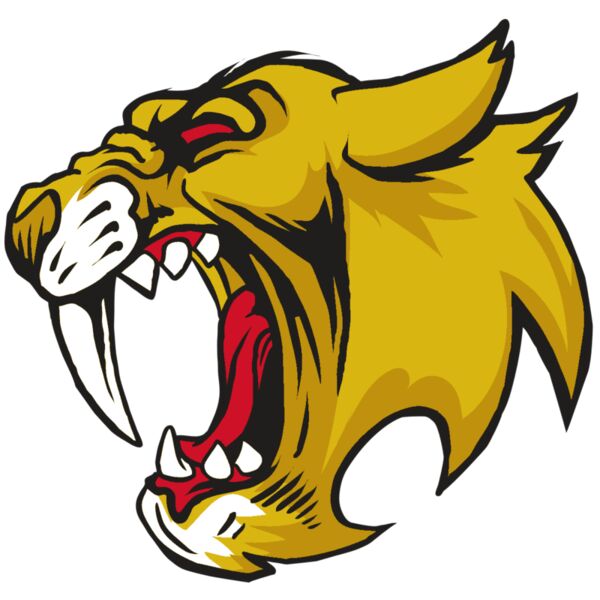 AR30 SABER 04 RQC Miniaturansicht