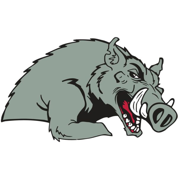 AR RAZORBACK 14 RC Miniaturansicht