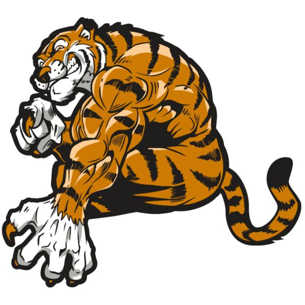 AR4 TIGER 09 RQC Miniaturansicht