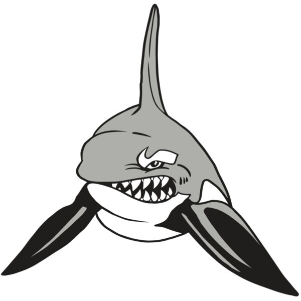 AR19 ORCA 03 RQC Miniaturansicht