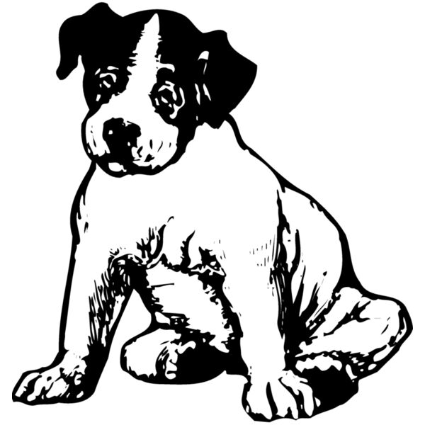 DC0021 Miniaturansicht