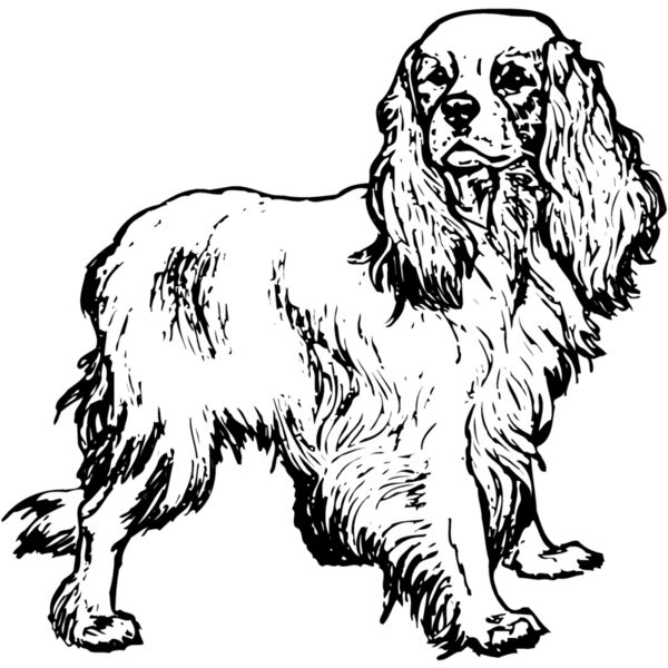 DC0042 Miniaturansicht