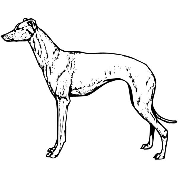 DC0044 Miniaturansicht