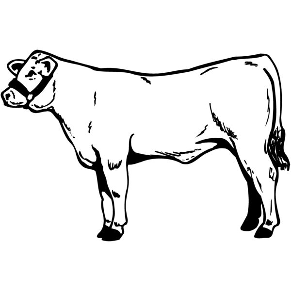 COW017 Miniaturansicht