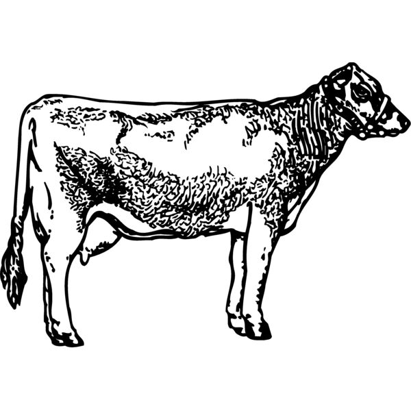 COW033 Miniaturansicht