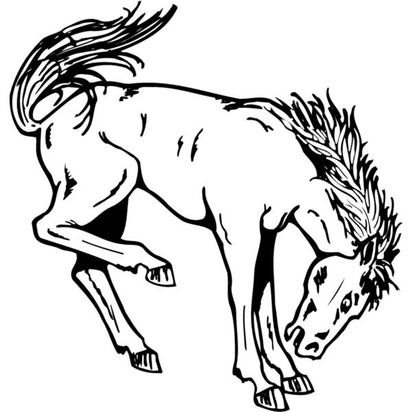 HORSE038 Miniaturansicht