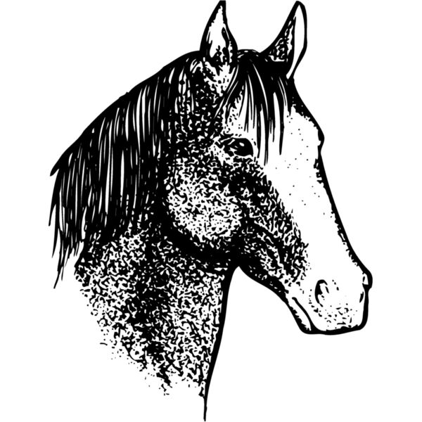 HORSE046 Miniaturansicht