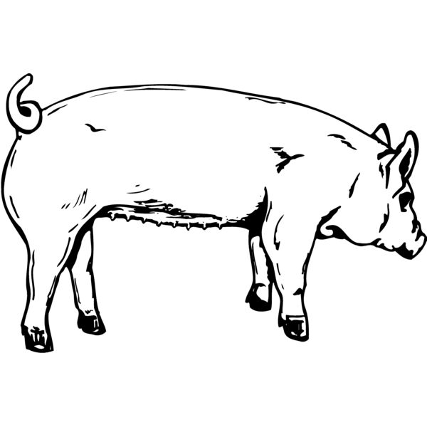 SOW0002 Miniaturansicht