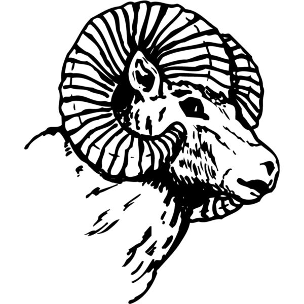 RAM005 Miniaturansicht