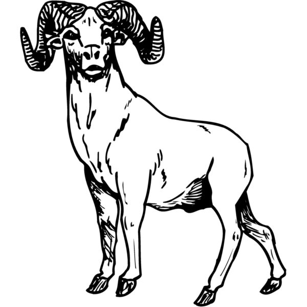 RAM009 Miniaturansicht