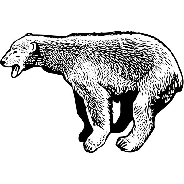BEAR014_ Miniaturansicht