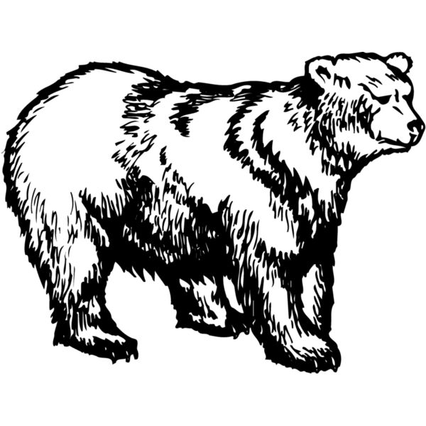 BEAR018 Miniaturansicht