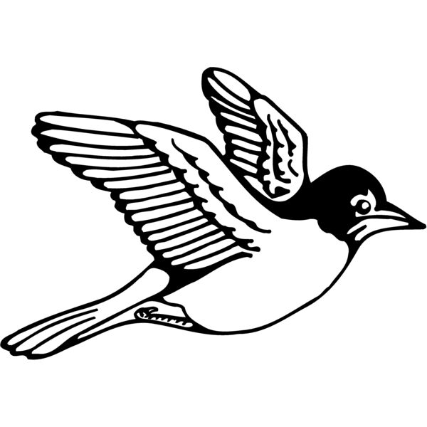 BIRD039 Miniaturansicht