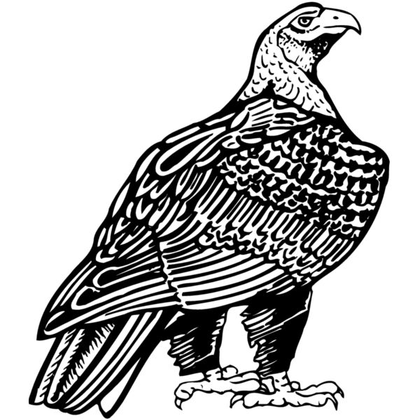 EAGLE018 Miniaturansicht