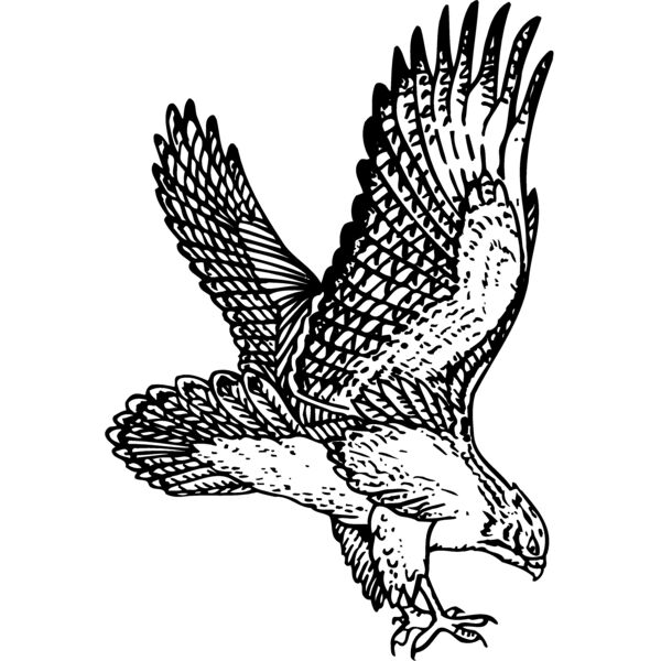 EAGLE026 Miniaturansicht