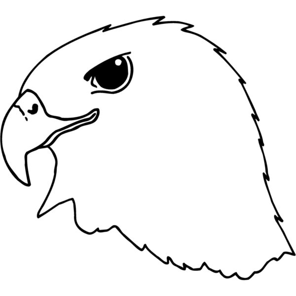 EAGLE44 Miniaturansicht