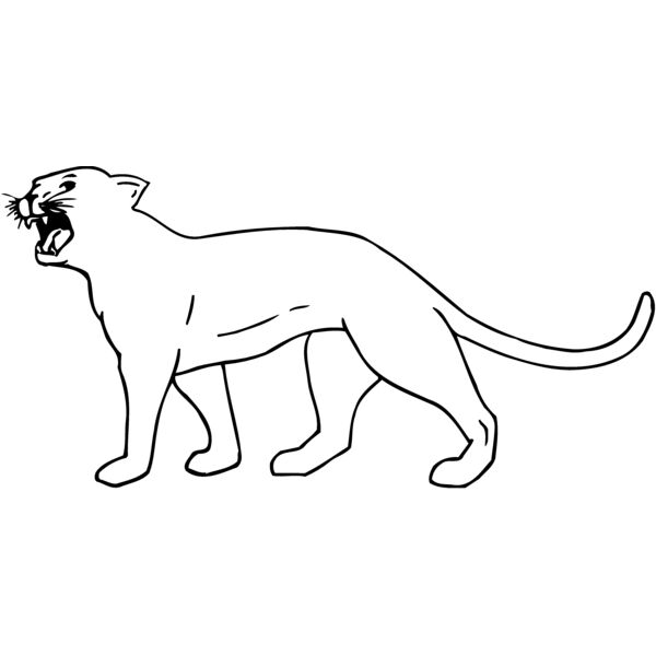 CAT05 Miniaturansicht