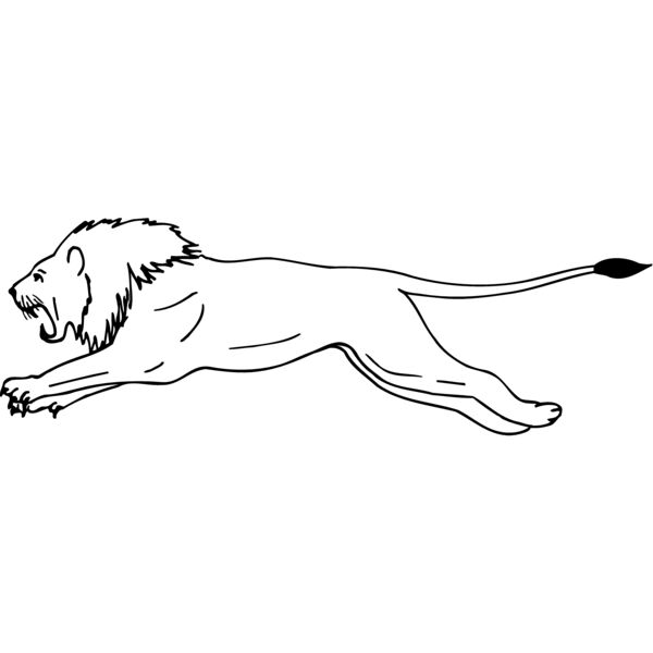 CAT12 Miniaturansicht