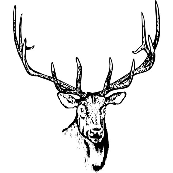 DEER015 Miniaturansicht