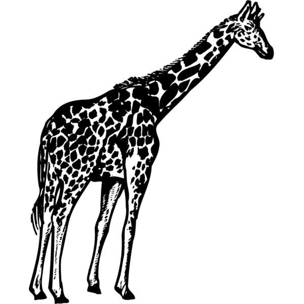 GIRAFF02 Miniaturansicht
