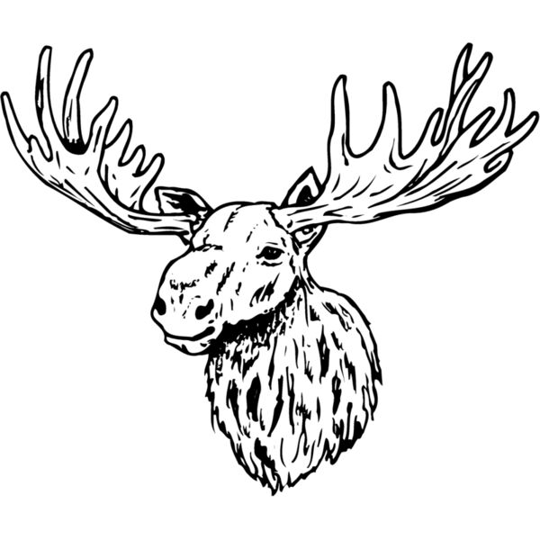 MOOSE001 Miniaturansicht