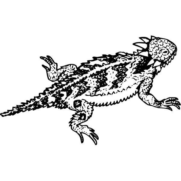 IGUANA01 Miniaturansicht