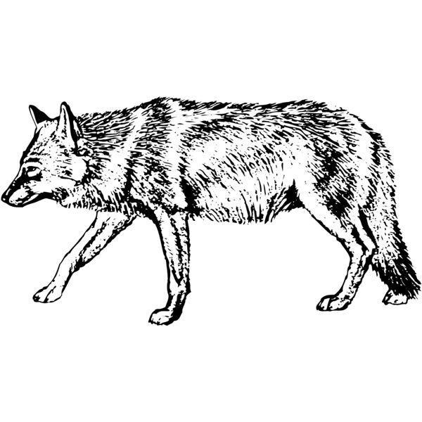 F_W003 Miniaturansicht