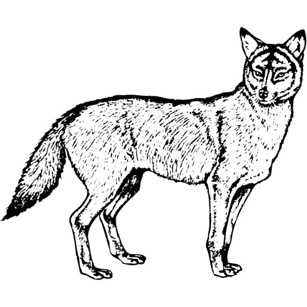 F_W015 Miniaturansicht