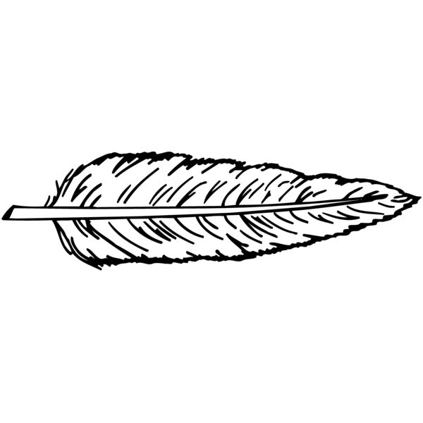 FEATHER Miniaturansicht